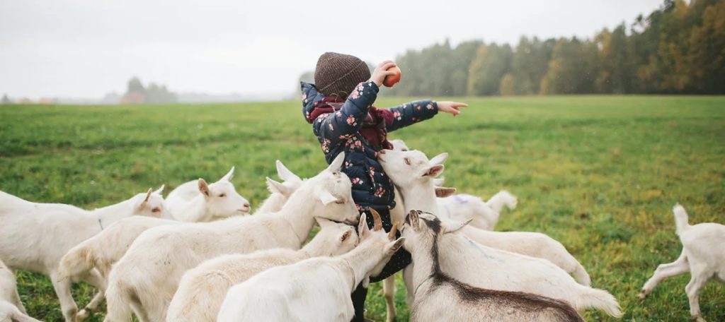 42eb2f66b5774b07ae25f45bb10c31d2